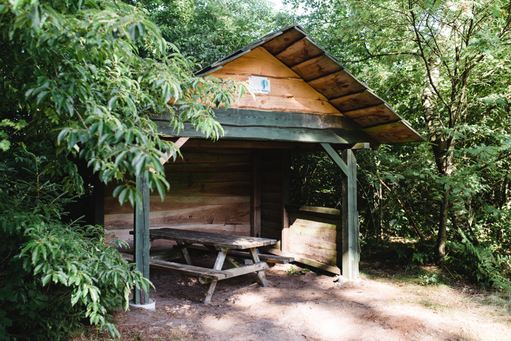 Kampeerterrein Oude Willem, ontdek het Drents-Friese Wold